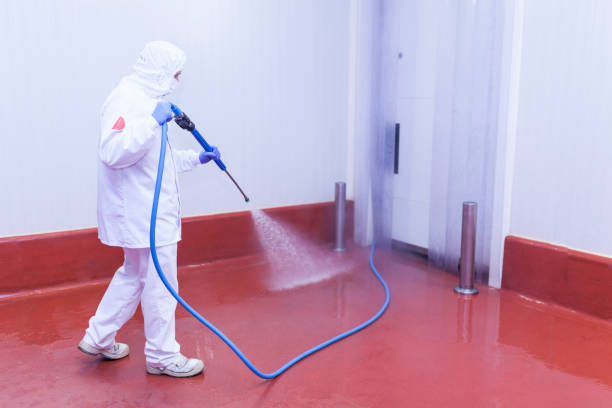 Best Window and Screen Pressure Cleaning in Stanley, WI