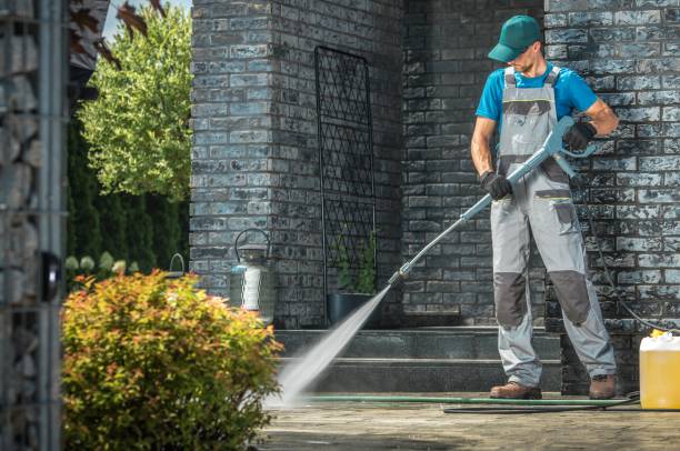Best Gutter Cleaning and Brightening in Stanley, WI